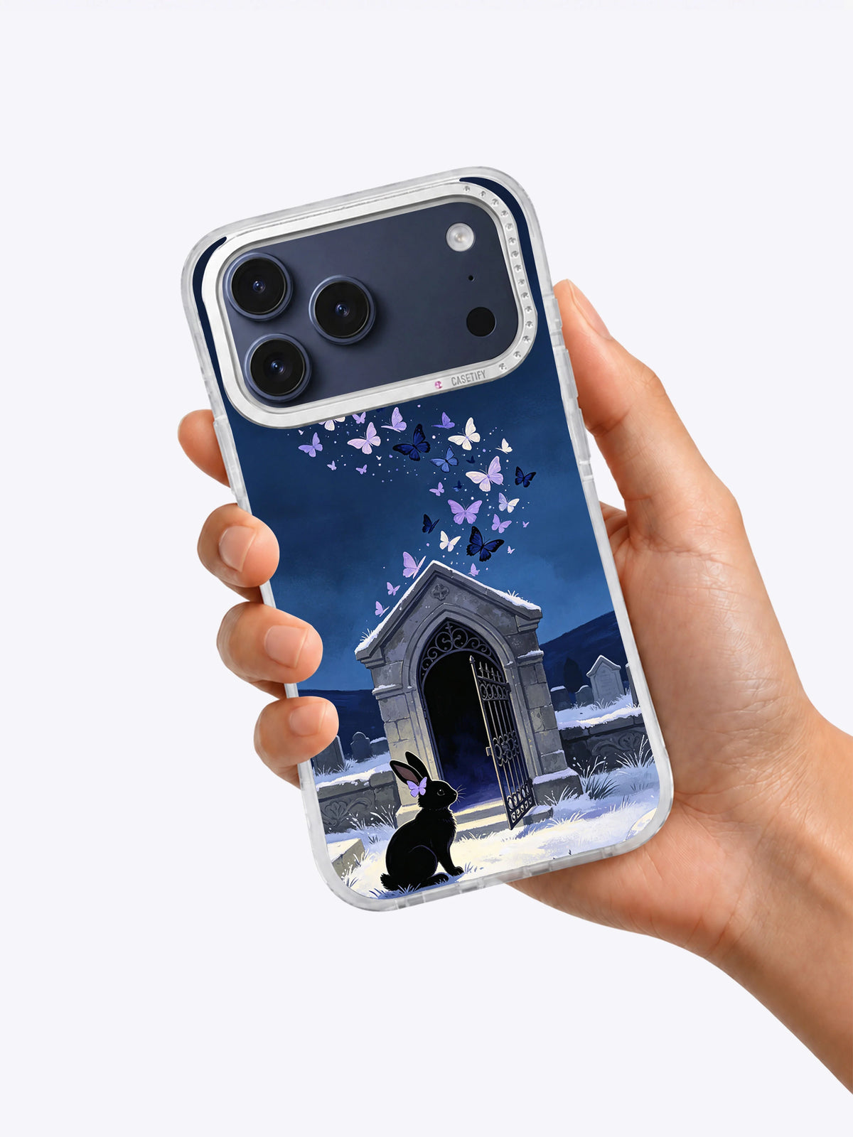 Butterfly Mausoleum case in hand